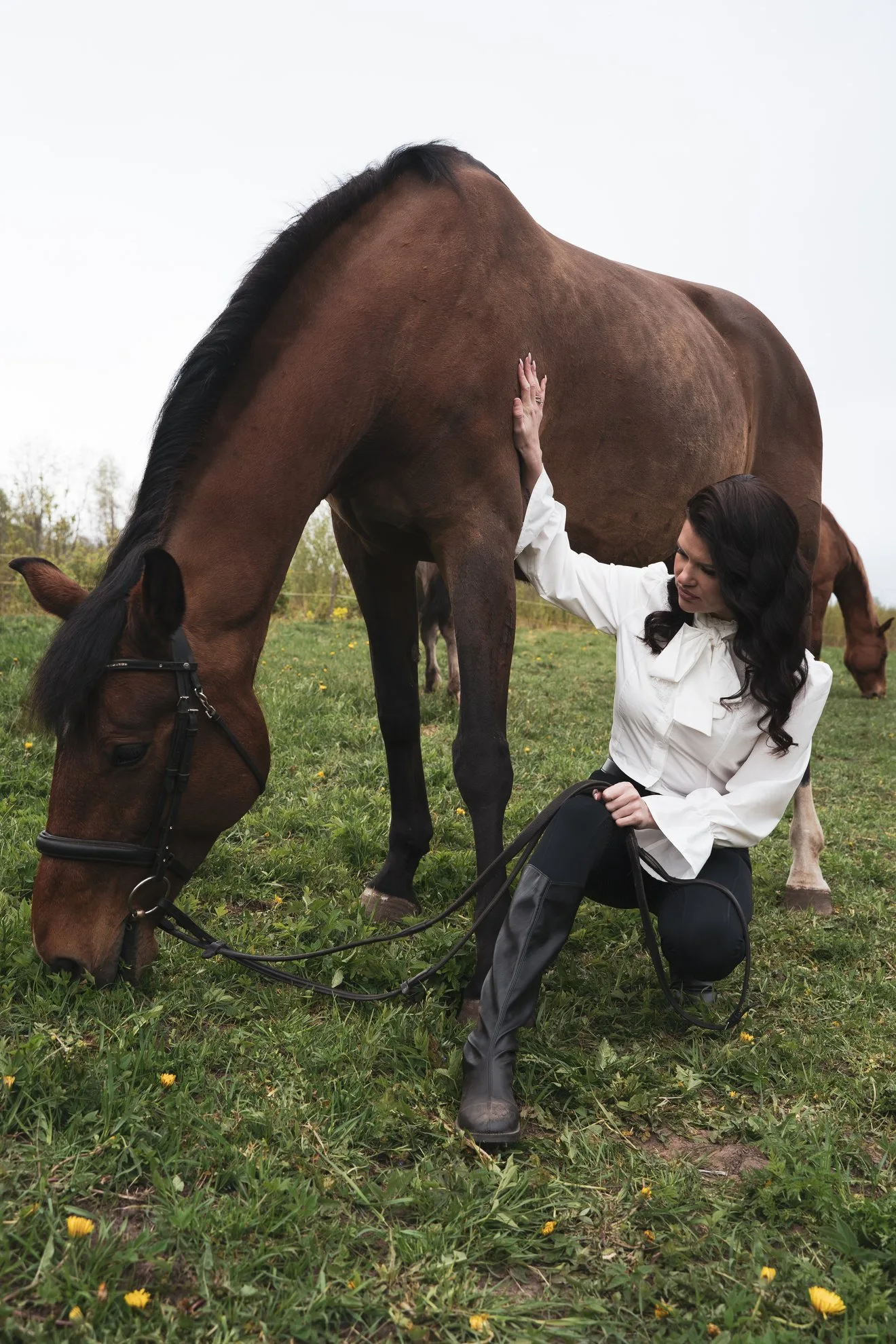 Horses